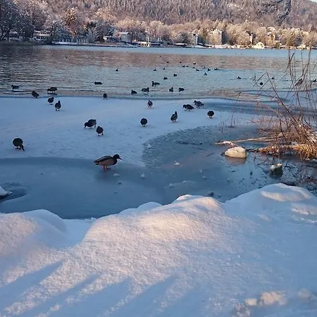 Ferienparadies Gutounik アパートホテル