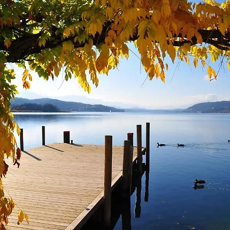 アパートホテル Ferienparadies Gutounik 4*