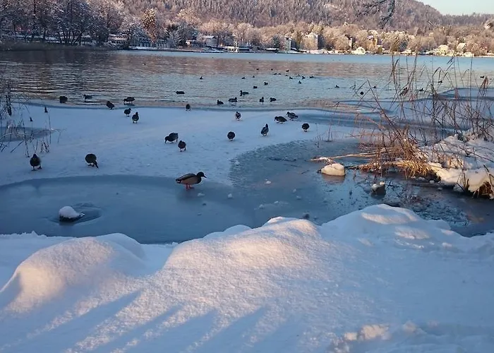 Ferienparadies Gutounik Appart hôtel